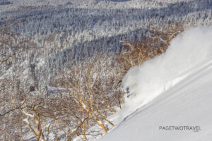 James Winfield charging in the powder at Asahidake 