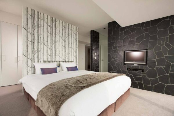 niseko house accommodation