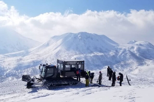 Niseko Weiss Powder Cats