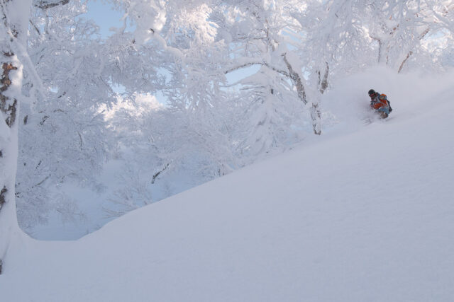 One of Hokkaido's Snowiest Resorts