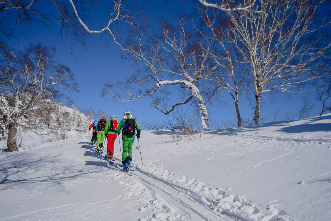 Backcountry Tours