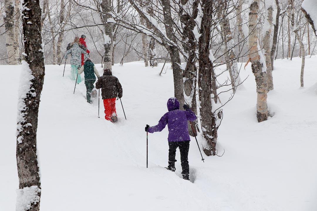 Snowshoe Tours